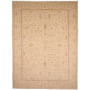 29740 Ziegler Pakistani 